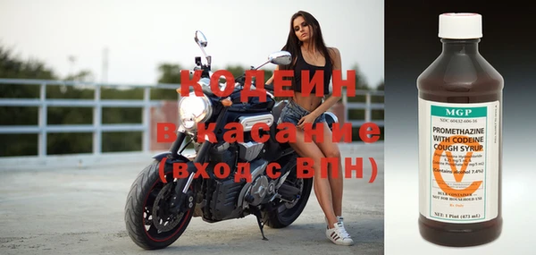 прущие грибы Медвежьегорск