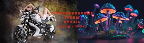 прущие грибы Медвежьегорск