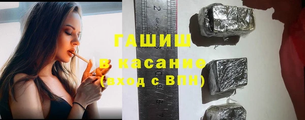прущие грибы Медвежьегорск