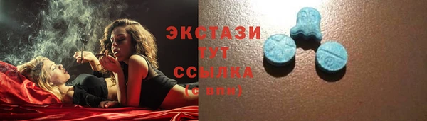 прущие грибы Медвежьегорск