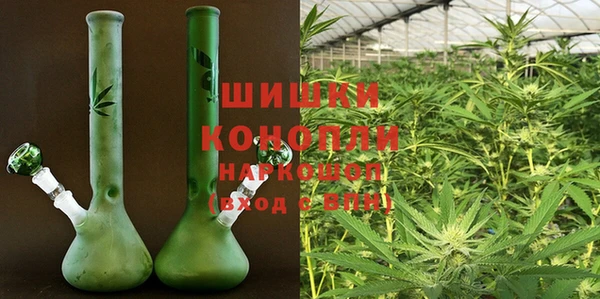 прущие грибы Медвежьегорск