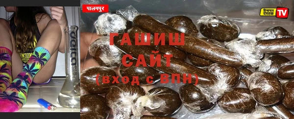 прущие грибы Медвежьегорск
