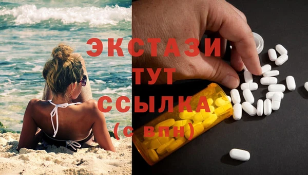 прущие грибы Медвежьегорск