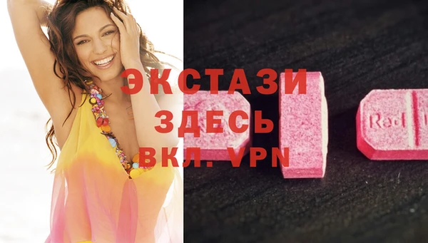 прущие грибы Медвежьегорск